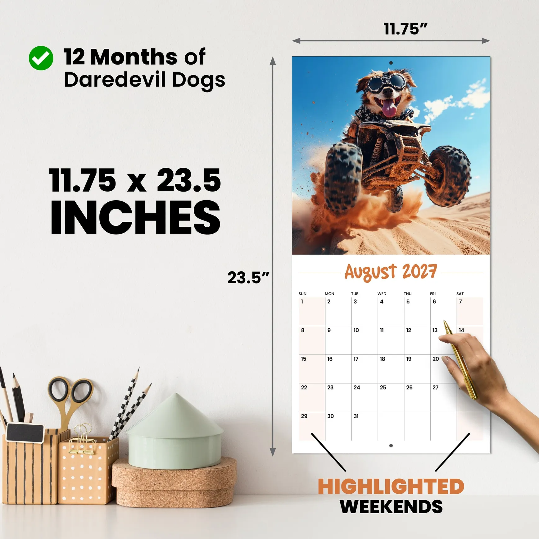 Daredevil Dogs wall calendar open on the wall, a dog mid-stunt, 11.75 by 23.5 inches