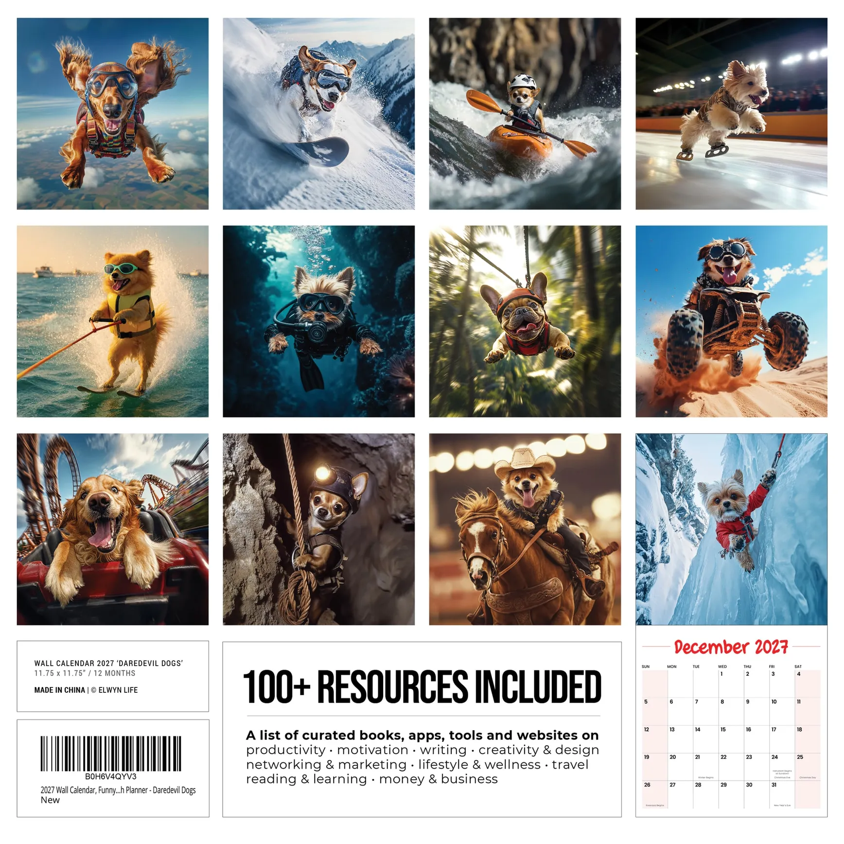 Back cover of the Daredevil Dogs 2027 calendar, twelve dog stunts and the 100+ resources list