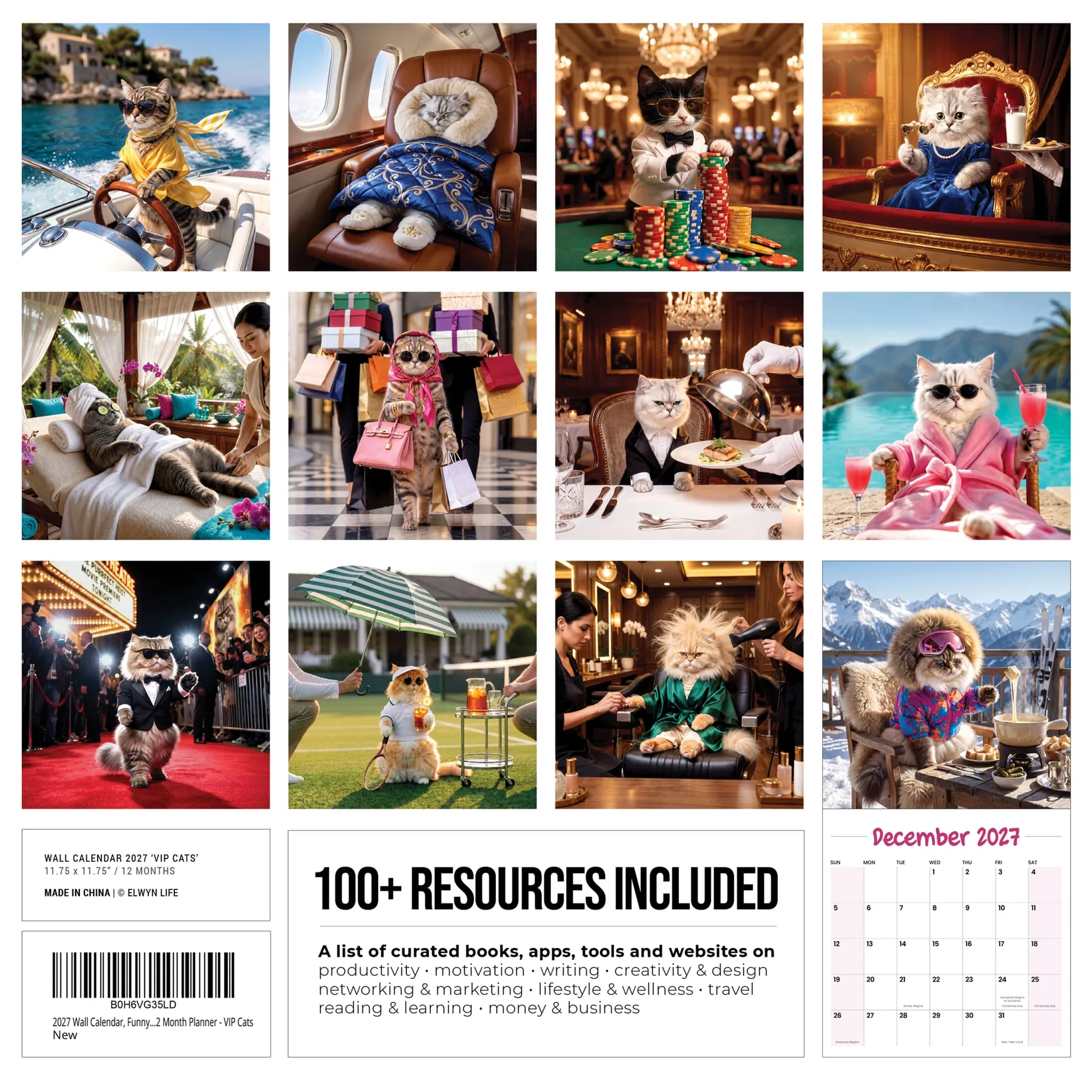 Back cover of the VIP Cats 2027 calendar, twelve cat VIP moments and the 100+ resources list